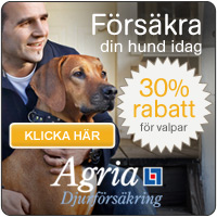 Klicka hr fr att f prisfrslag p en frskring