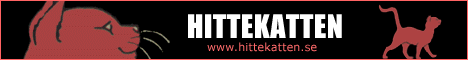 Hittekatten