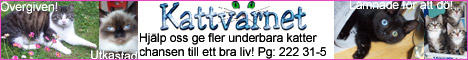 Kattvrnet